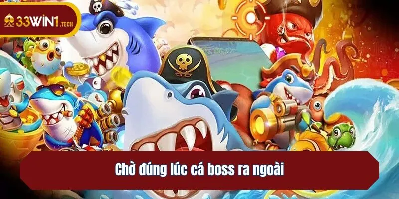 Chờ đúng lúc cá boss ra ngoài