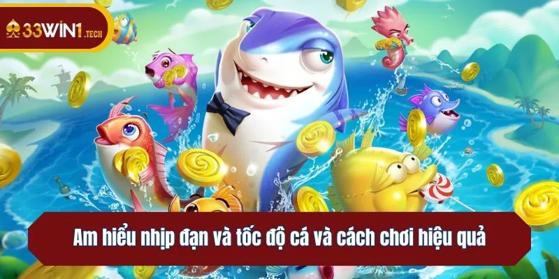 Am hiểu nhịp đạn và tốc độ cá và cách chơi hiệu quả