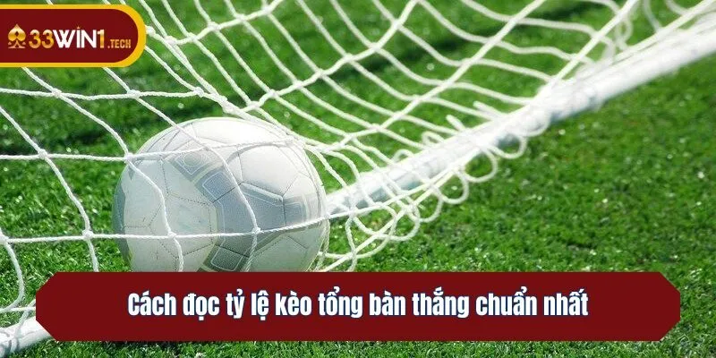Cách đọc tỷ lệ kèo tổng bàn thắng chuẩn nhất