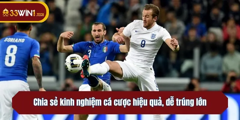Chia sẻ kinh nghiệm cá cược hiệu quả, dễ trúng lớn