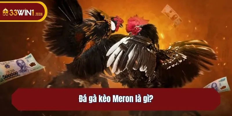 Đá gà kèo Meron là gì?
